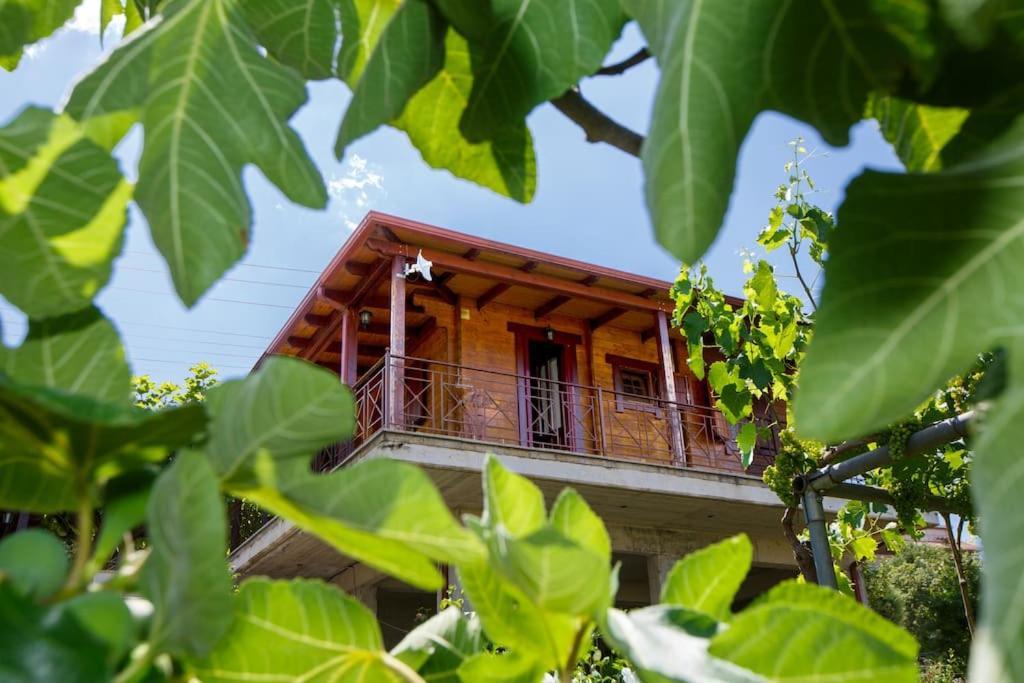 Wooden House In Ioannina Apartment Ngoại thất bức ảnh