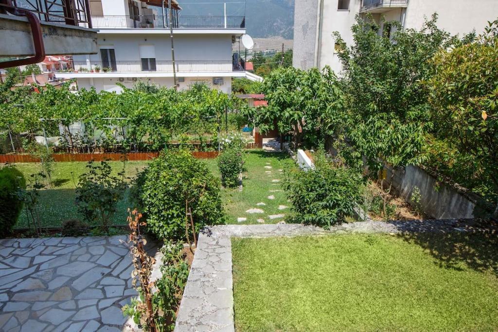 Wooden House In Ioannina Apartment Ngoại thất bức ảnh