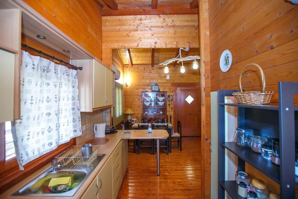 Wooden House In Ioannina Apartment Ngoại thất bức ảnh