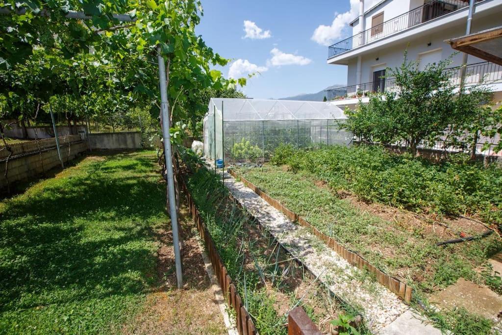 Wooden House In Ioannina Apartment Ngoại thất bức ảnh