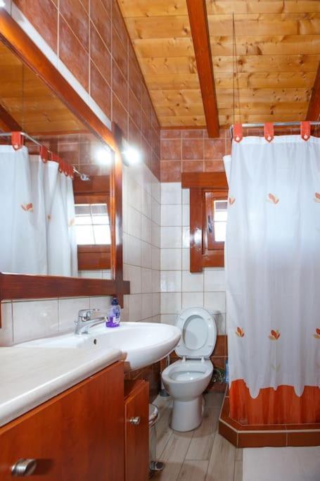 Wooden House In Ioannina Apartment Ngoại thất bức ảnh