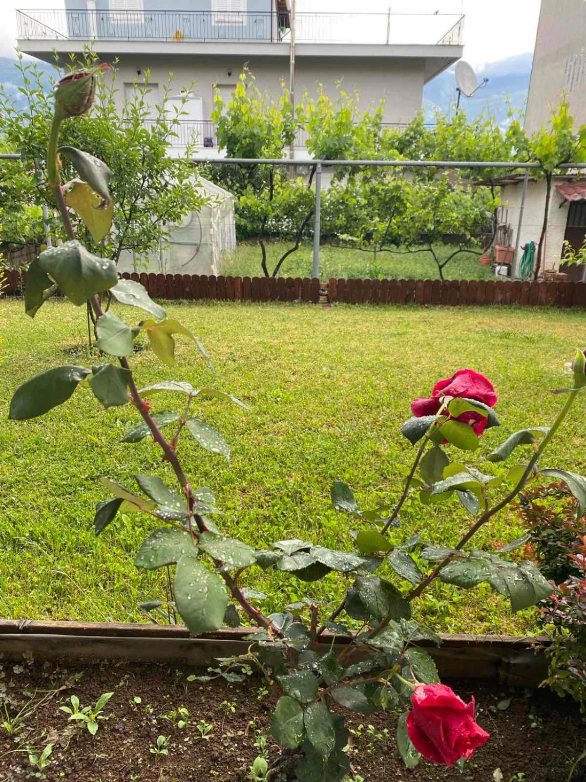 Wooden House In Ioannina Apartment Ngoại thất bức ảnh