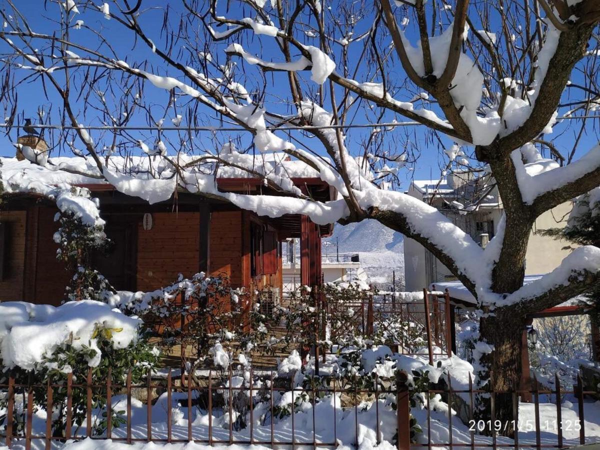 Wooden House In Ioannina Apartment Ngoại thất bức ảnh