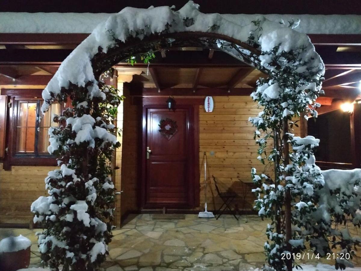 Wooden House In Ioannina Apartment Ngoại thất bức ảnh