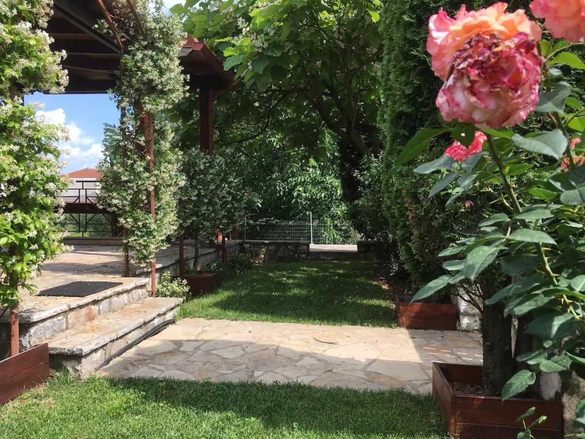 Wooden House In Ioannina Apartment Ngoại thất bức ảnh